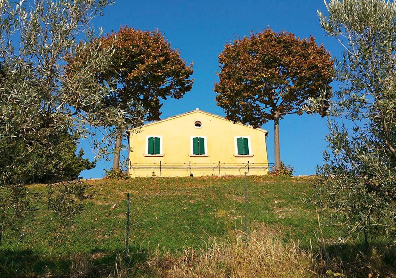 B&B Santa Caterina Acquaviva Picena Zimmer foto